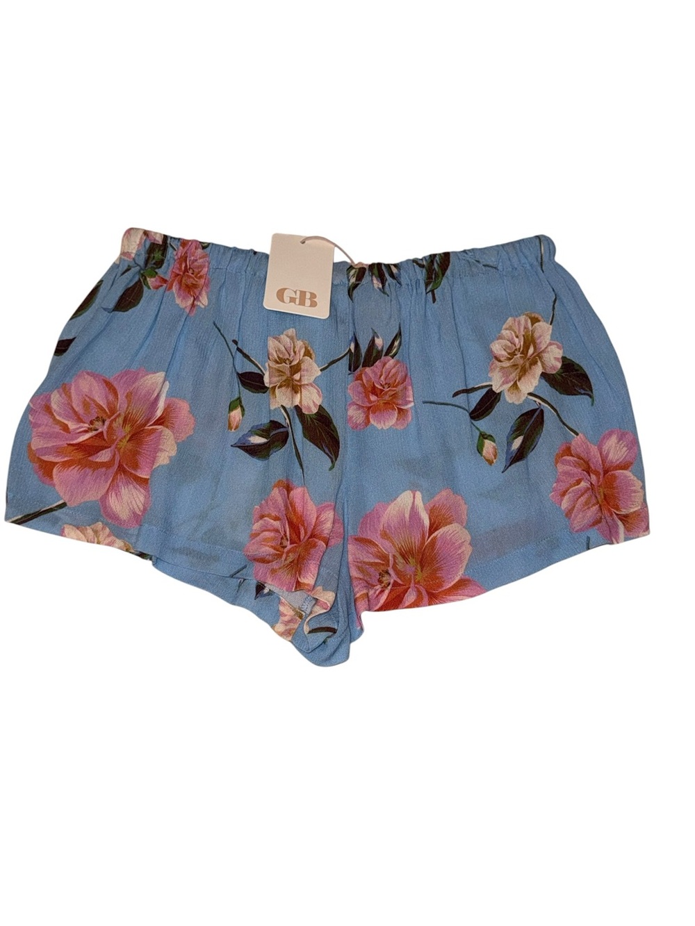 Gianni Bini Floral Blue Pink Shorts